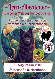 Bild Lernabenteuer
