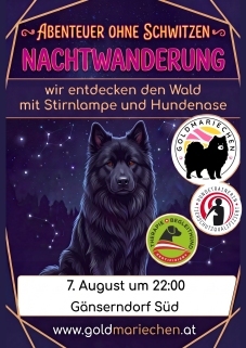 Bild Nachtwanderung