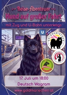 Bild Reiseabenteuer