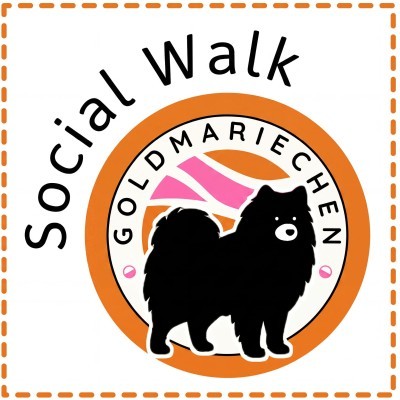 Social Walk