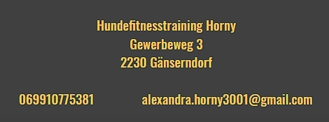 Hundetraining Horny