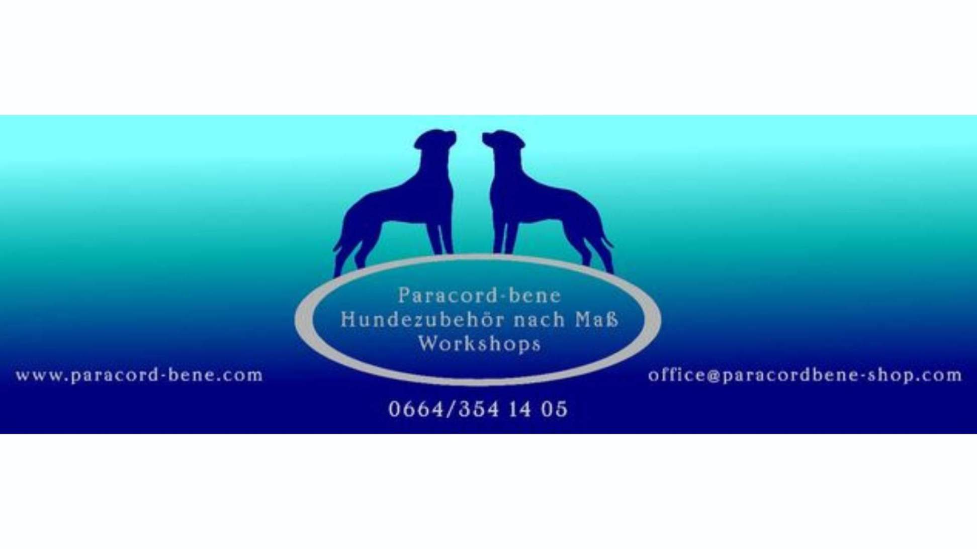 Xunde Hunde